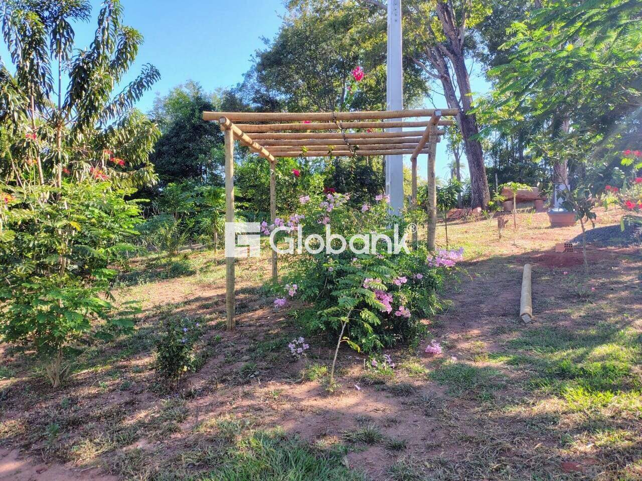 Chácara 2 quartos à venda Área Rural de Montes Claros 0m² Montes Claros MG: 
