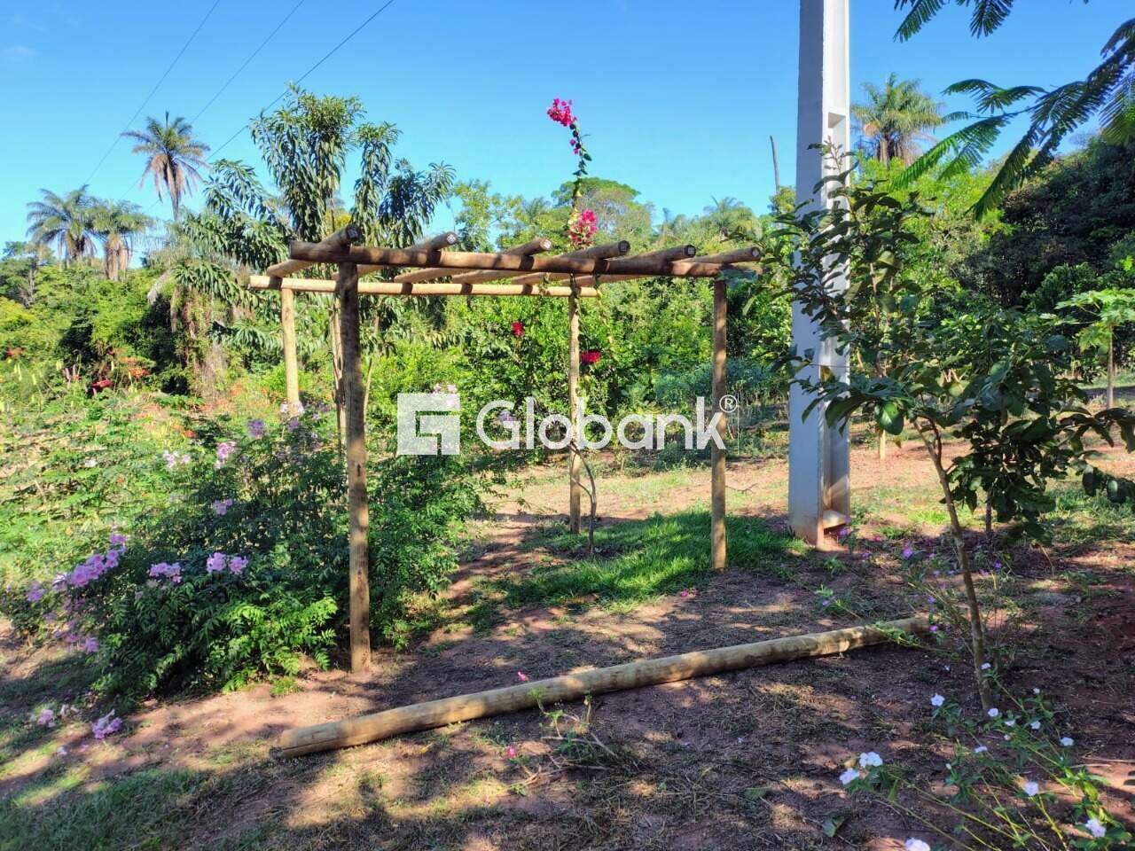Chácara 2 quartos à venda Área Rural de Montes Claros 0m² Montes Claros MG: 