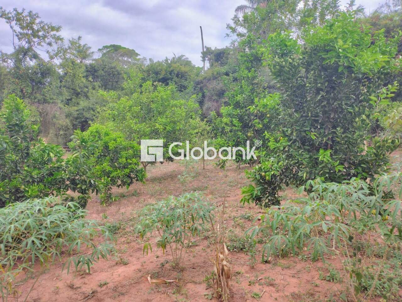 Chácara 2 quartos à venda Área Rural de Montes Claros 0m² Montes Claros MG: 