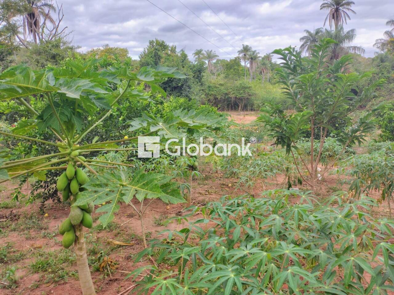 Chácara 2 quartos à venda Área Rural de Montes Claros 0m² Montes Claros MG: 