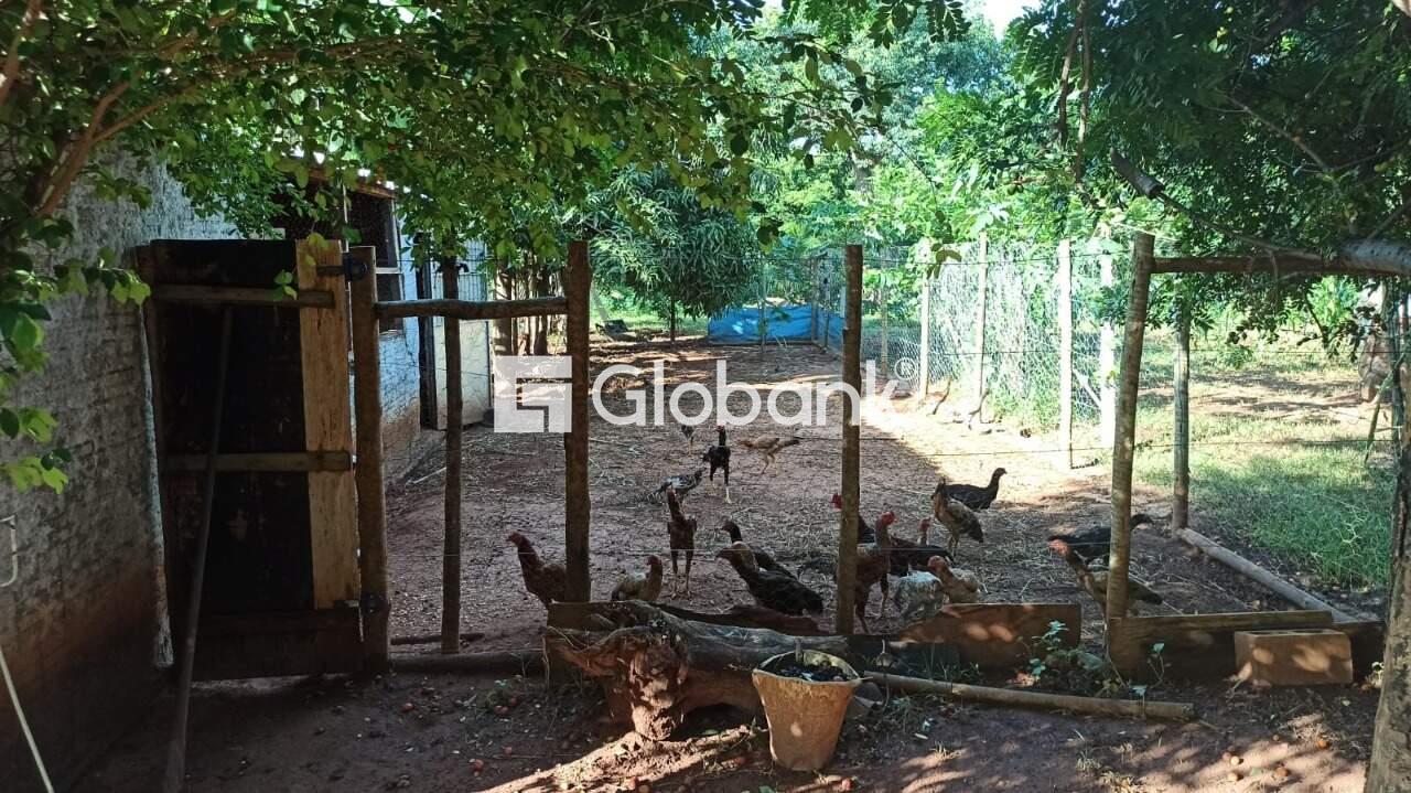 Chácara 3 quartos à venda Área Rural de Montes Claros 0m² Montes Claros MG: 