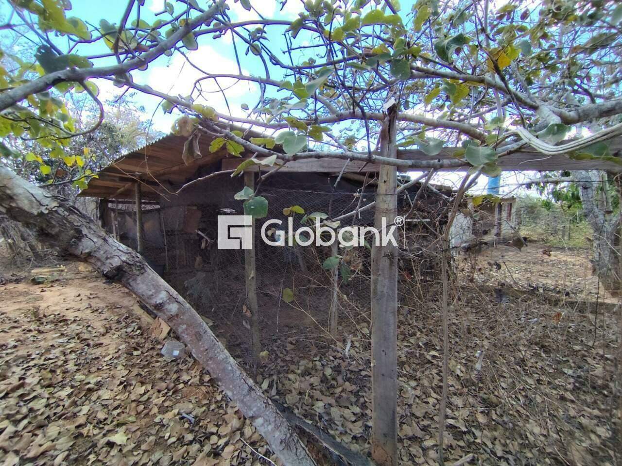 Chácara 2 quartos à venda Nova Esperança 0m² Montes Claros MG: