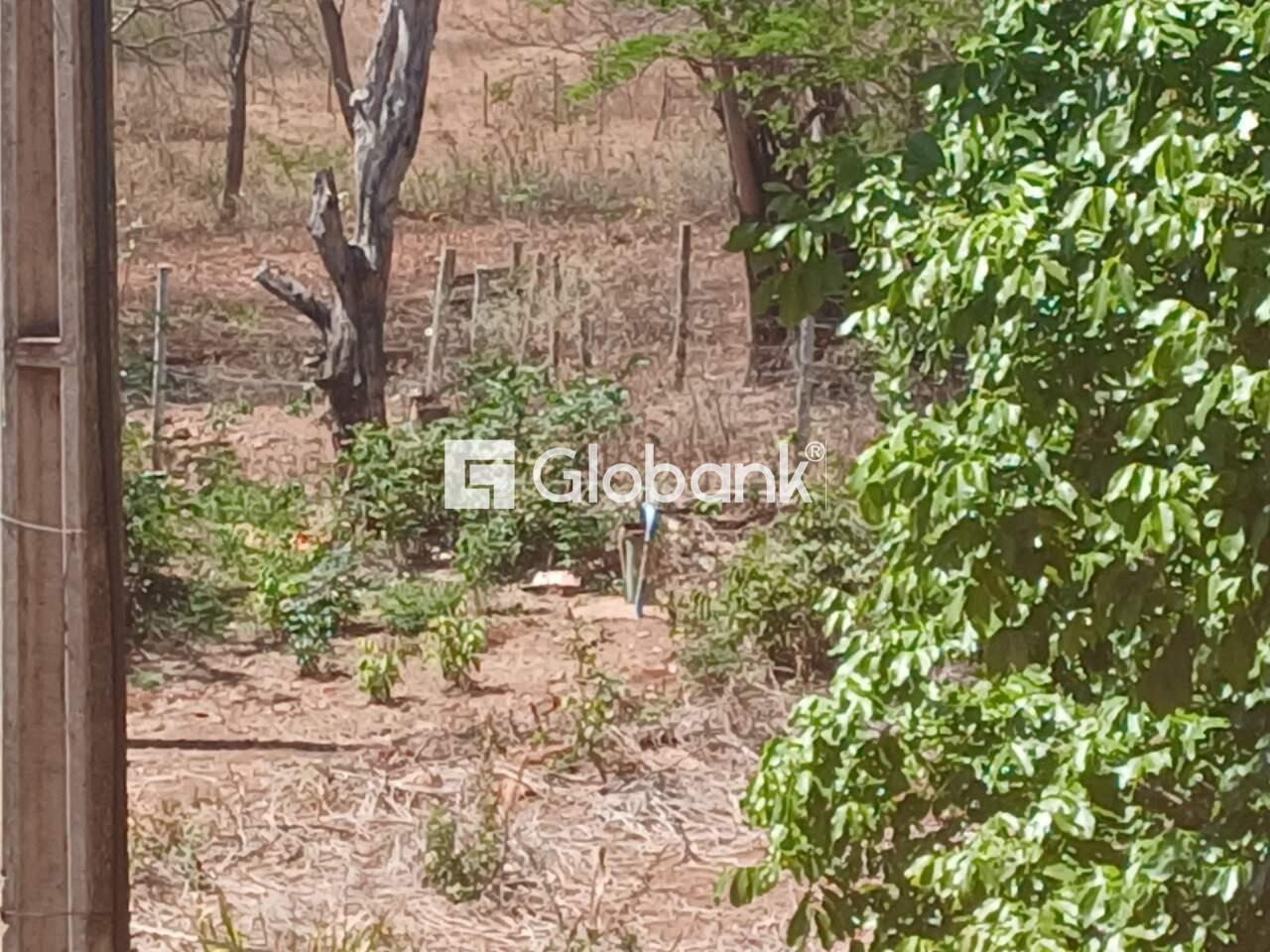 Sítio 6 quartos à venda Área Rural de Montes Claros 0m² Montes Claros MG: 