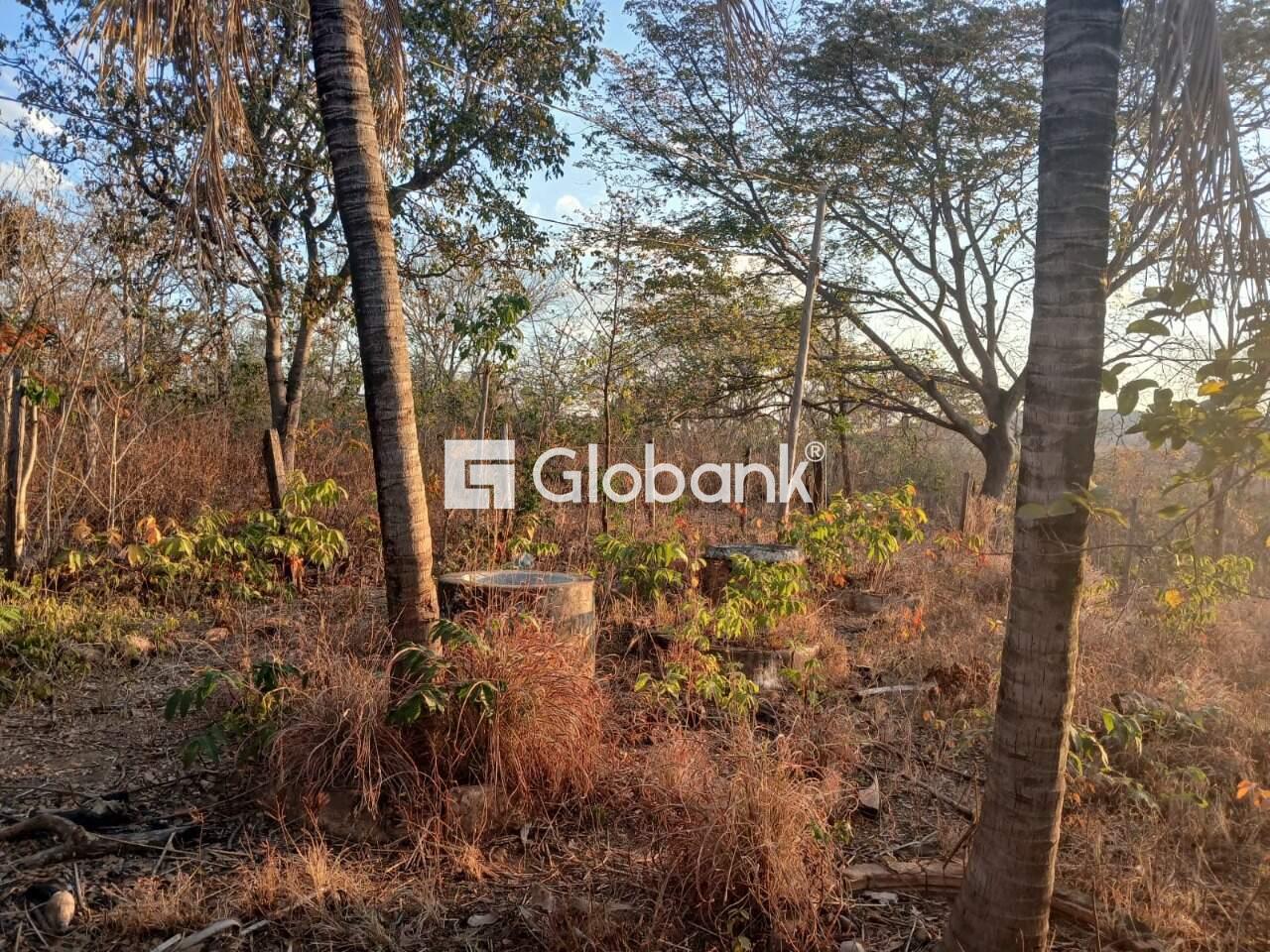 Sítio 6 quartos à venda Área Rural de Montes Claros 0m² Montes Claros MG: 