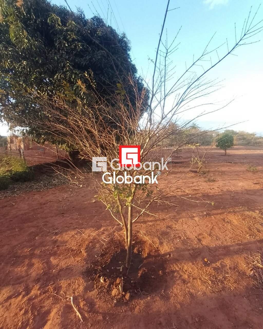 Chácara 2 quartos à venda Área Rural de Montes Claros 0m² Montes Claros MG: | Foto_migracao | 40