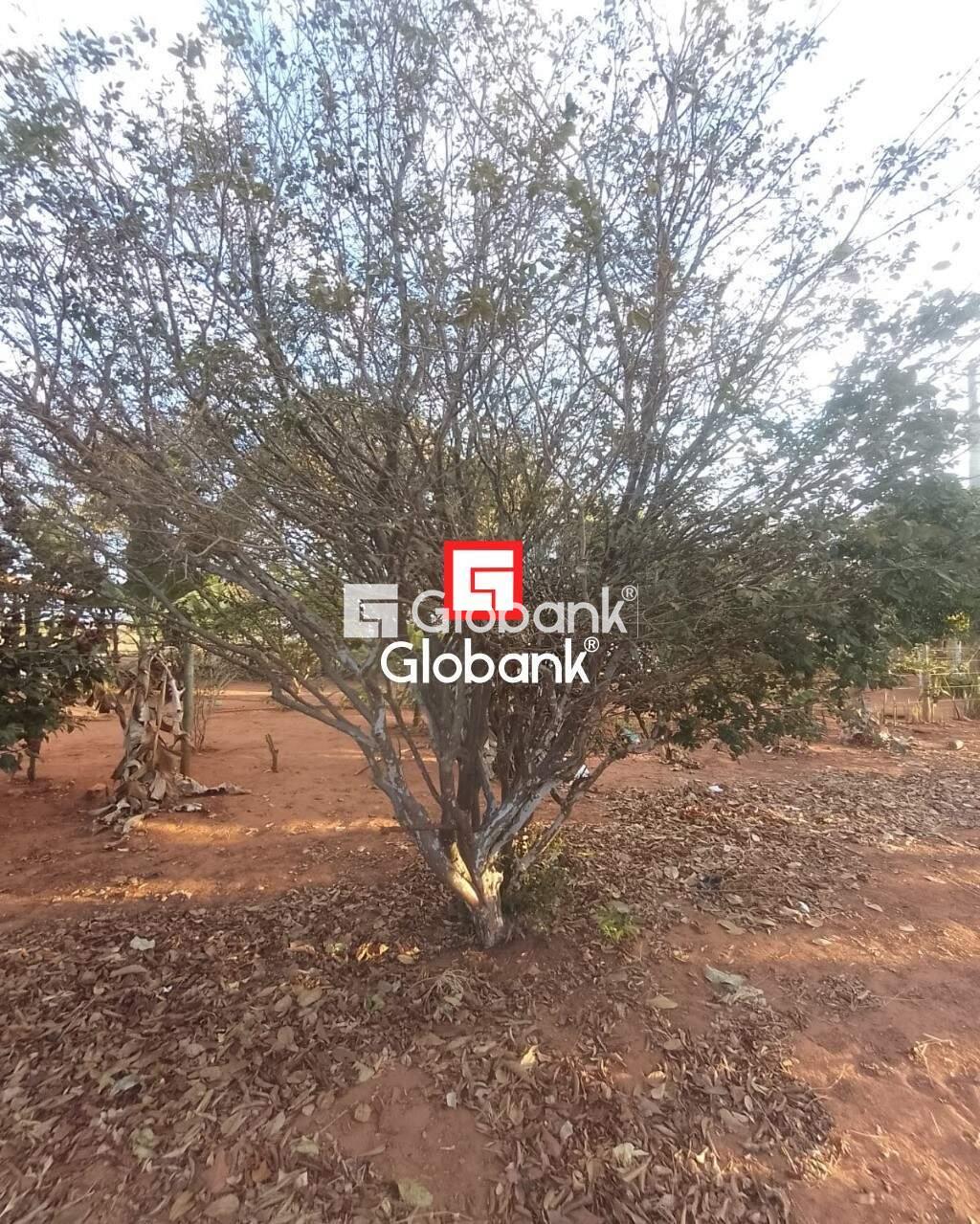 Chácara 2 quartos à venda Área Rural de Montes Claros 0m² Montes Claros MG: | Foto_migracao | 4