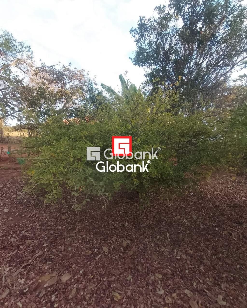 Chácara 2 quartos à venda Área Rural de Montes Claros 0m² Montes Claros MG: | Foto_migracao | 34