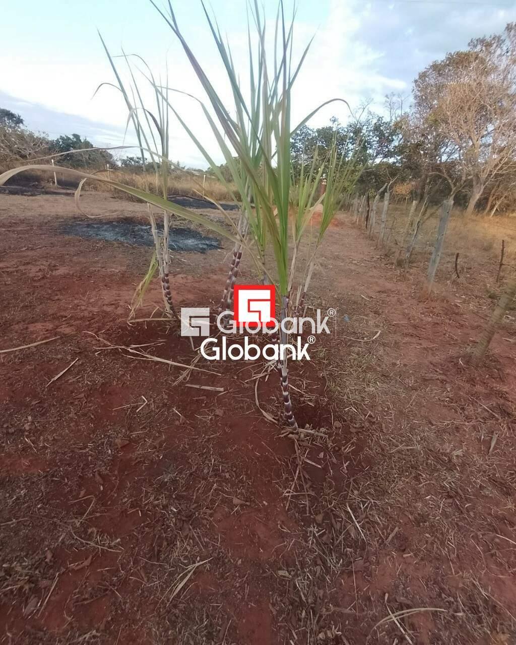 Chácara 2 quartos à venda Área Rural de Montes Claros 0m² Montes Claros MG: | Foto_migracao | 8