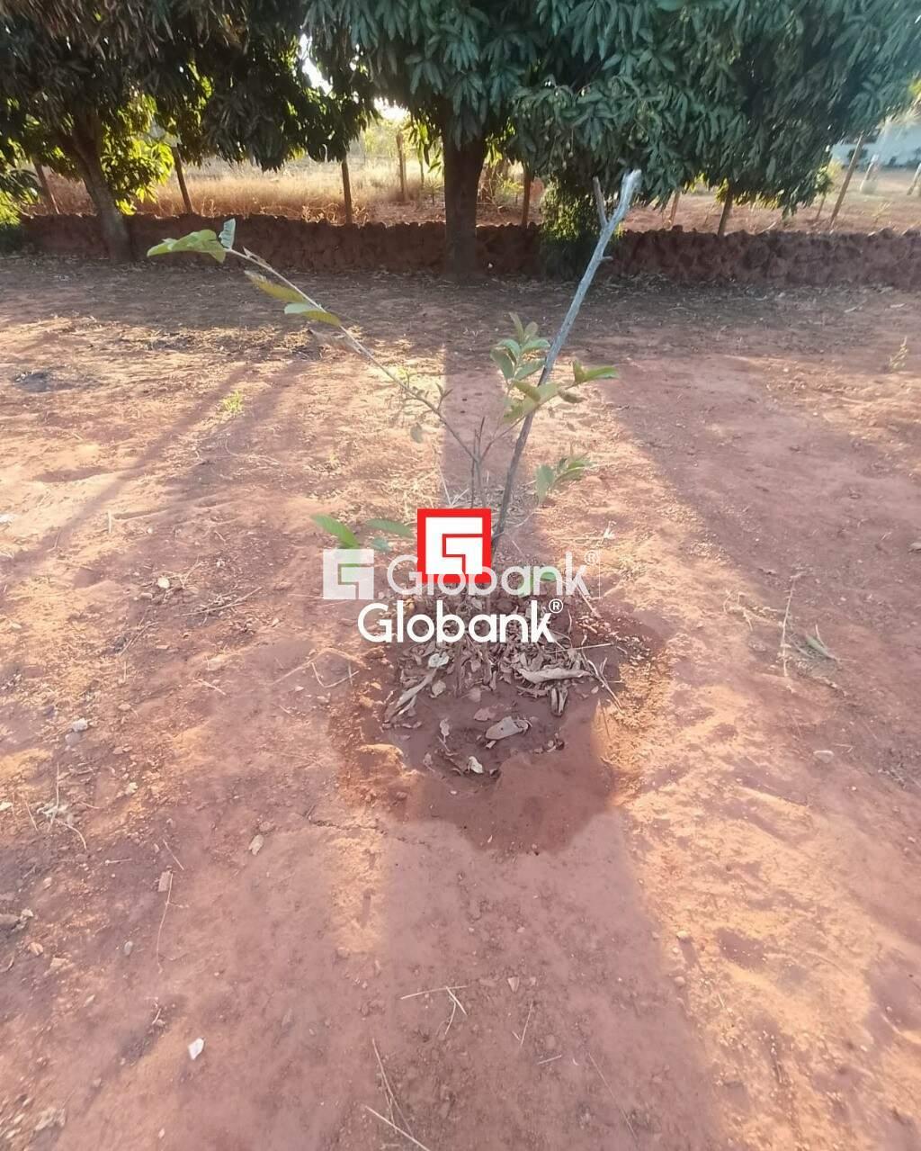 Chácara 2 quartos à venda Área Rural de Montes Claros 0m² Montes Claros MG: | Foto_migracao | 27