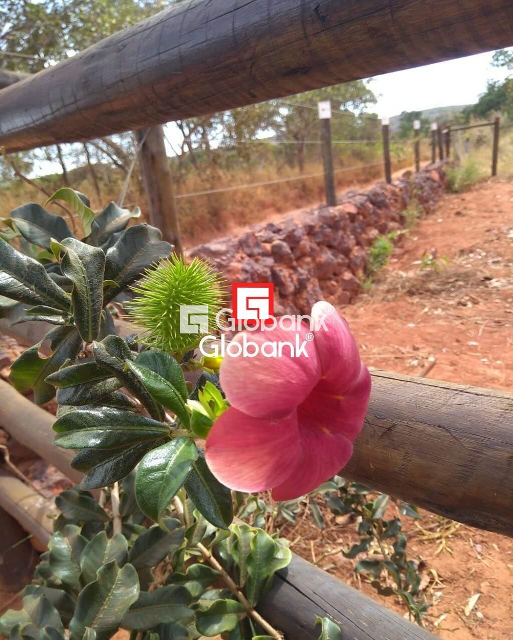 Chácara 2 quartos à venda Área Rural de Montes Claros 0m² Montes Claros MG: | Foto_migracao | 15