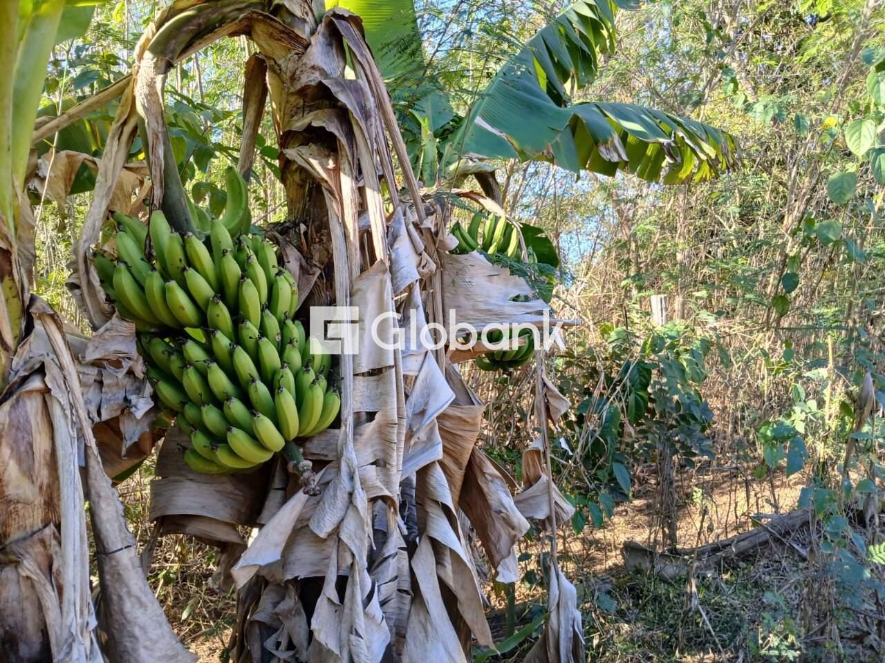 Chácara 1 quarto à venda Cidade Industrial 0m² Montes Claros MG: 