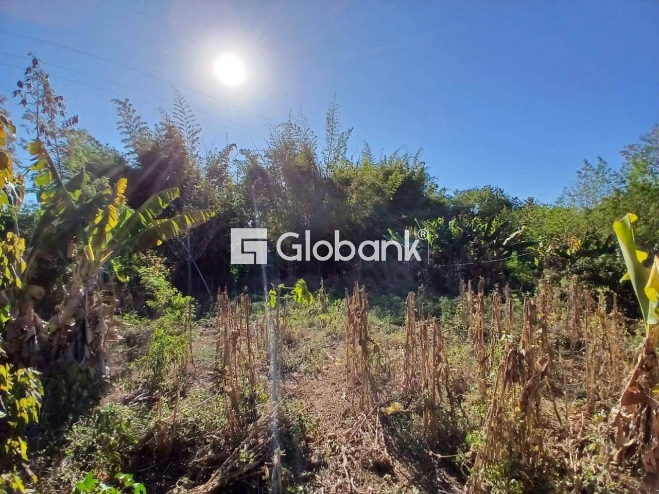 Chácara 1 quarto à venda Cidade Industrial 0m² Montes Claros MG: 