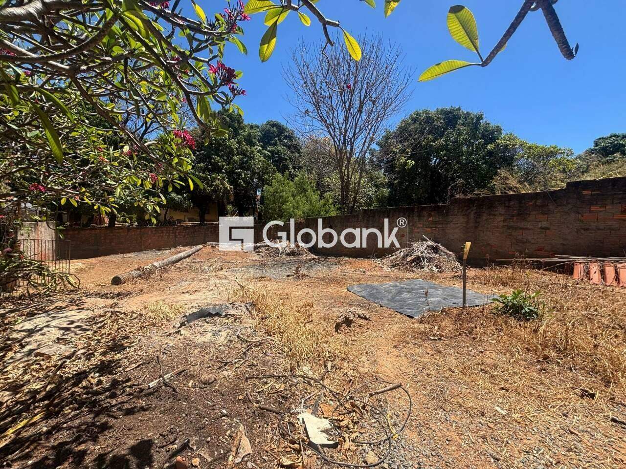 Terreno à venda Sagrada Família 296m² Montes Claros MG: