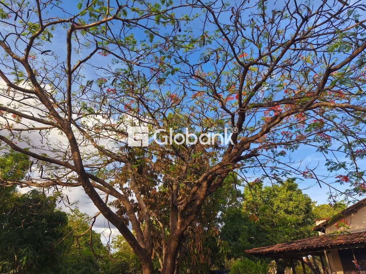 Chácara 3 quartos à venda Campos Elíseos 0m² Montes Claros MG: 