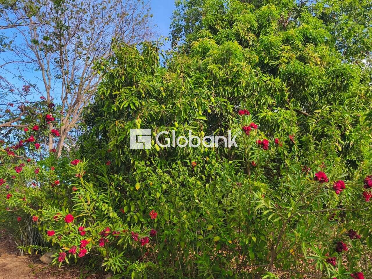 Chácara 3 quartos à venda Campos Elíseos 0m² Montes Claros MG: 