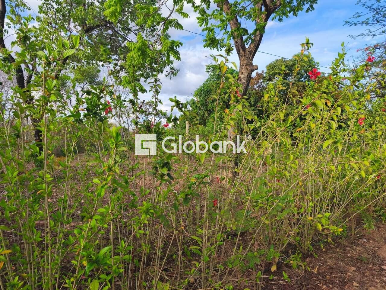 Chácara 3 quartos à venda Campos Elíseos 0m² Montes Claros MG: 