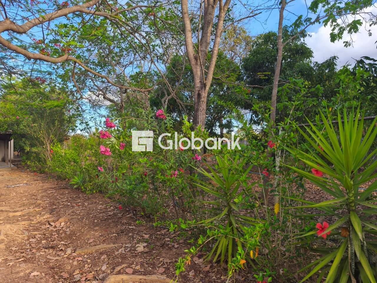 Chácara 3 quartos à venda Campos Elíseos 0m² Montes Claros MG: 