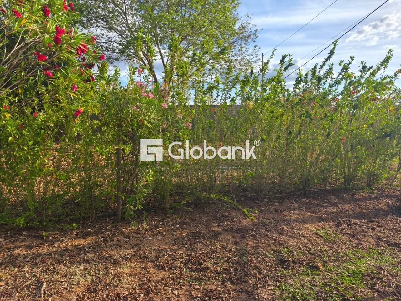 Chácara 3 quartos à venda Campos Elíseos 0m² Montes Claros MG: 