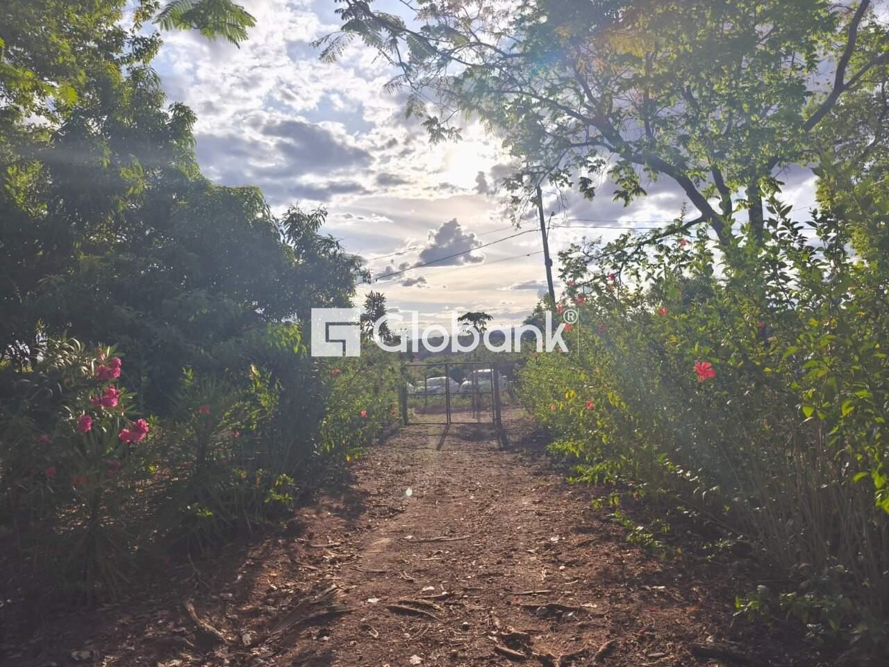Chácara 3 quartos à venda Campos Elíseos 0m² Montes Claros MG: 