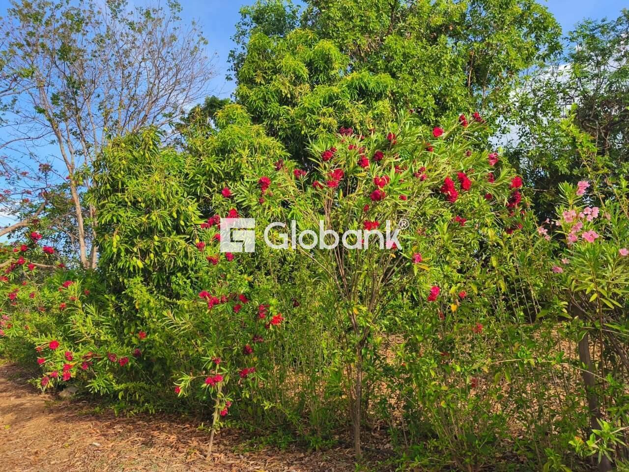 Chácara 3 quartos à venda Campos Elíseos 0m² Montes Claros MG: 