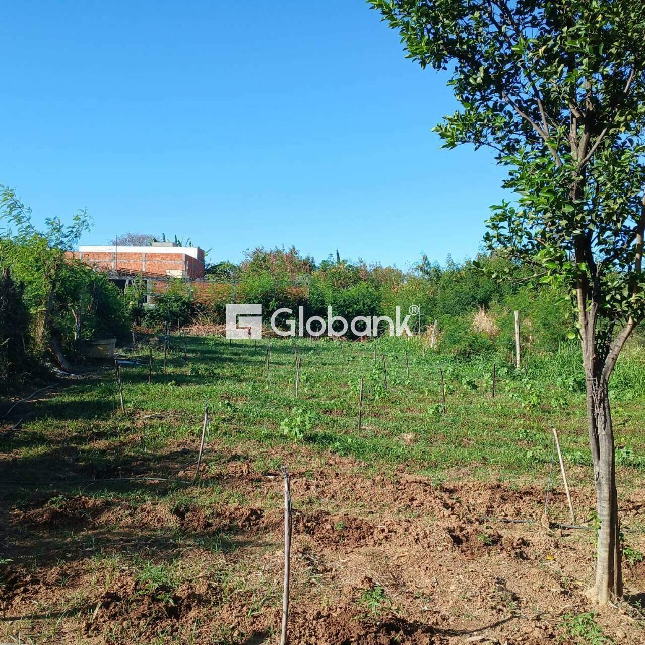 Terreno à venda Santos Reis 0m² Montes Claros MG: 