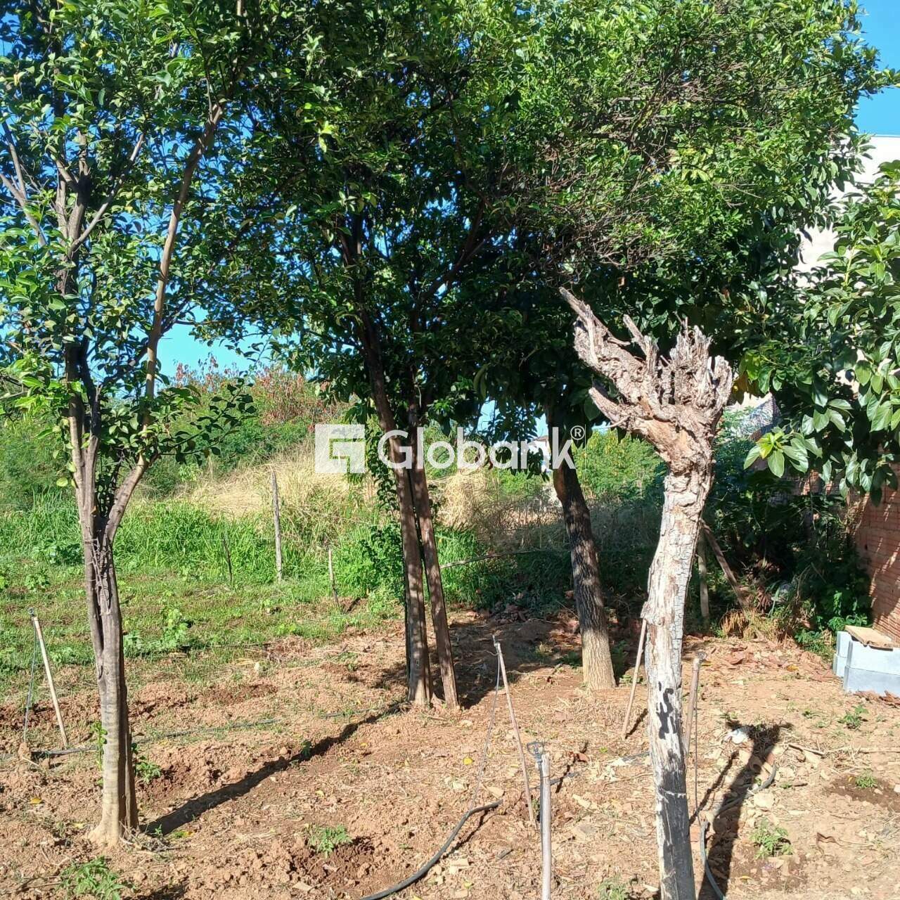Terreno à venda Santos Reis 0m² Montes Claros MG: 