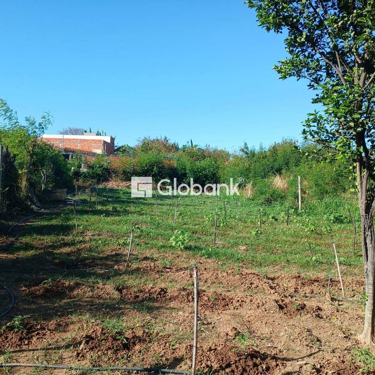 Terreno à venda Santos Reis 0m² Montes Claros MG: 