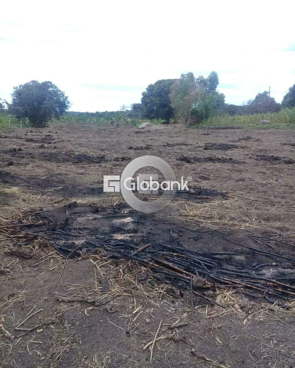 Fazenda 1 quarto à venda Zona Rural 0m² Patis MG: Foto 01 | Foto_migracao | 1