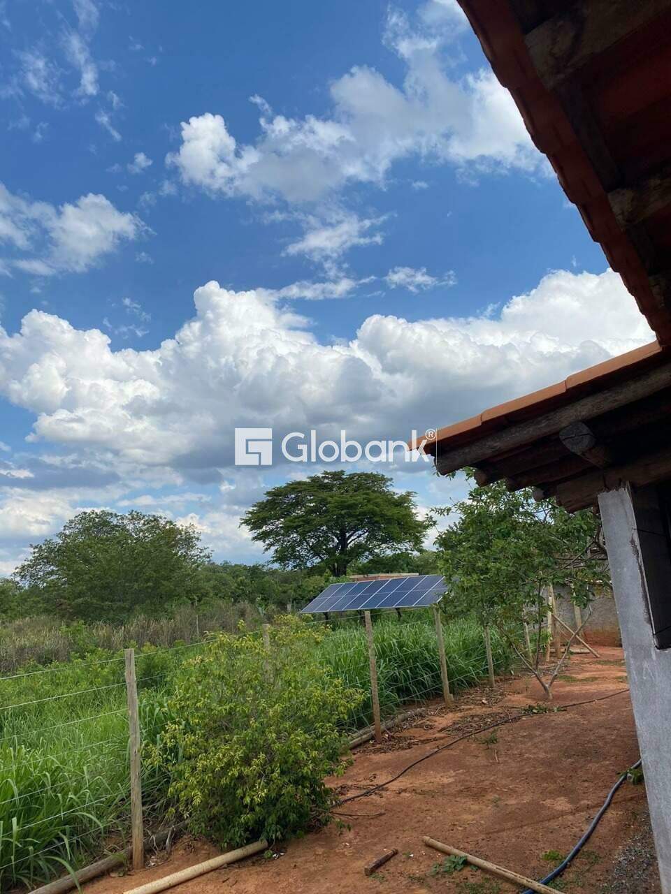 Fazenda 3 quartos à venda Jardim Primavera 0m² Montes Claros MG: f9db3338-6f27-4aec-85ab-c2ea43cbd465