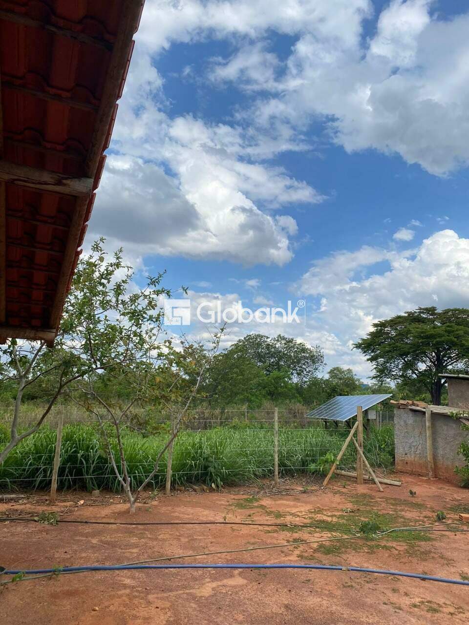 Fazenda 3 quartos à venda Jardim Primavera 0m² Montes Claros MG: 830b4a58-2bda-4a48-839d-8df15ca62487