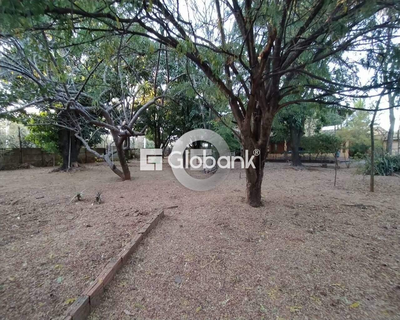 Fazenda 1 quarto à venda Vila Castelo Branco 0m² Montes Claros MG: Foto 03 | Foto_migracao | 4