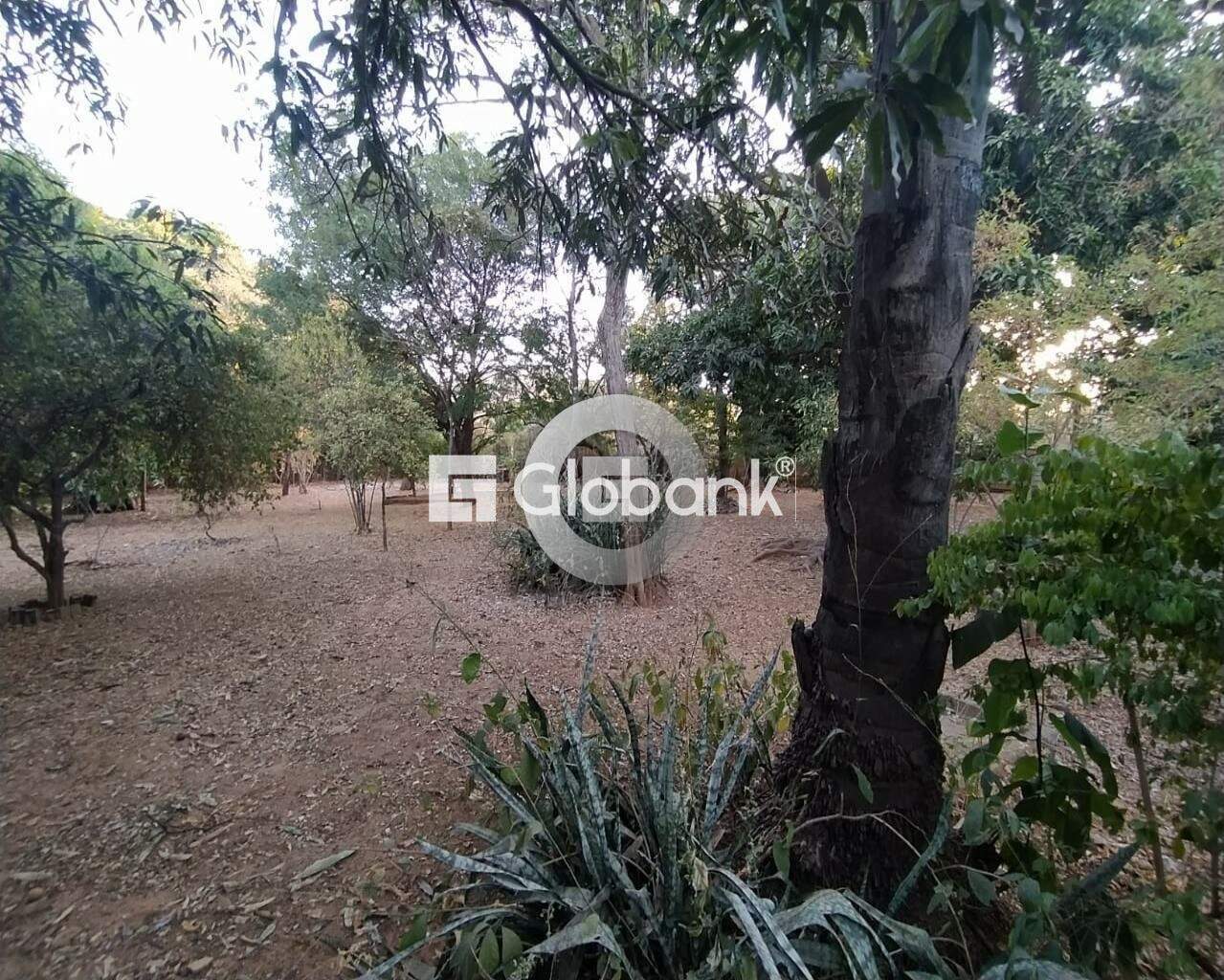 Fazenda 1 quarto à venda Vila Castelo Branco 0m² Montes Claros MG: Foto 05 | Foto_migracao | 6