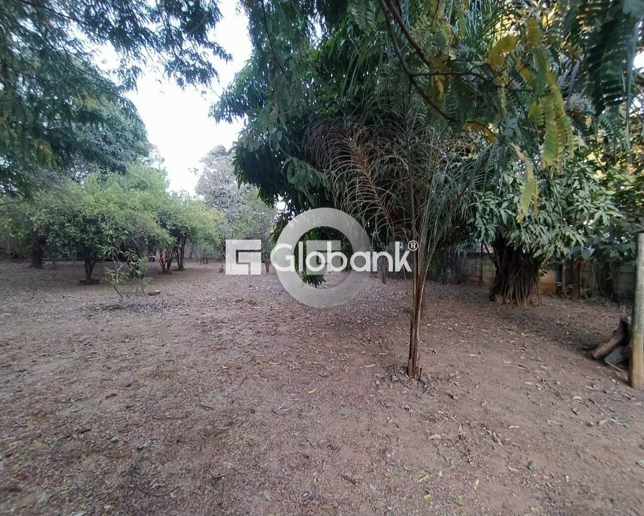 Fazenda 1 quarto à venda Vila Castelo Branco 0m² Montes Claros MG: Foto 02 | Foto_migracao | 3