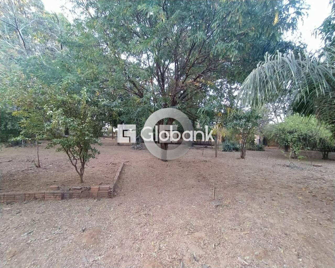 Fazenda 1 quarto à venda Vila Castelo Branco 0m² Montes Claros MG: Foto 04 | Foto_migracao | 5