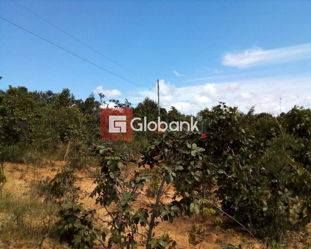 Fazenda 1 quarto à venda Área Rural de Montes Claros 0m² Montes Claros MG: Foto 01 | Foto_migracao | 1