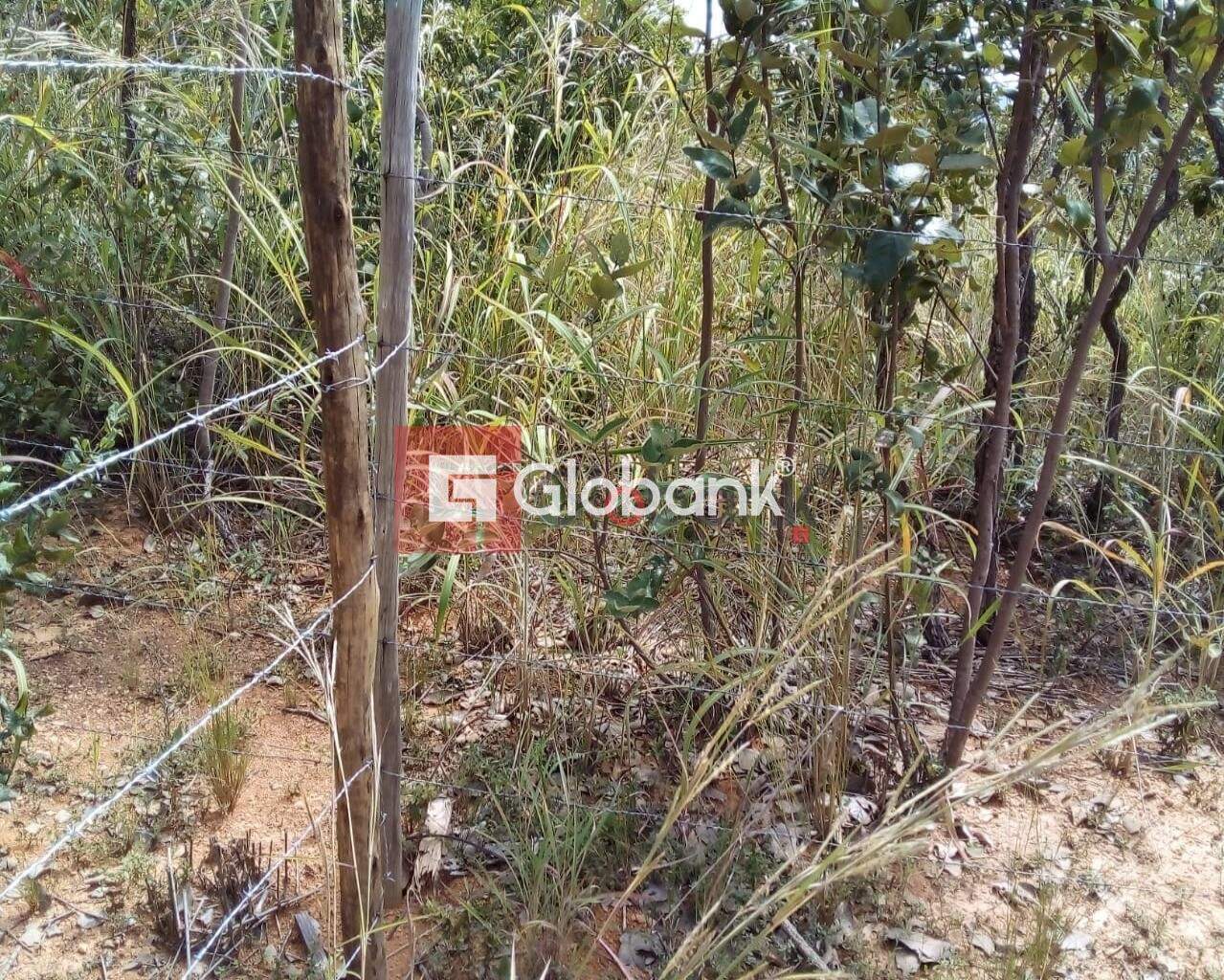 Fazenda 1 quarto à venda Área Rural de Montes Claros 0m² Montes Claros MG: Foto 05 | Foto_migracao | 5