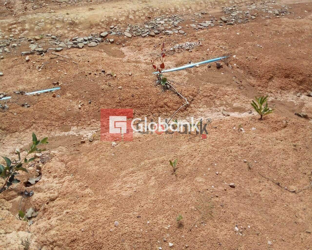 Fazenda 1 quarto à venda Área Rural de Montes Claros 0m² Montes Claros MG: Foto 11 | Foto_migracao | 11