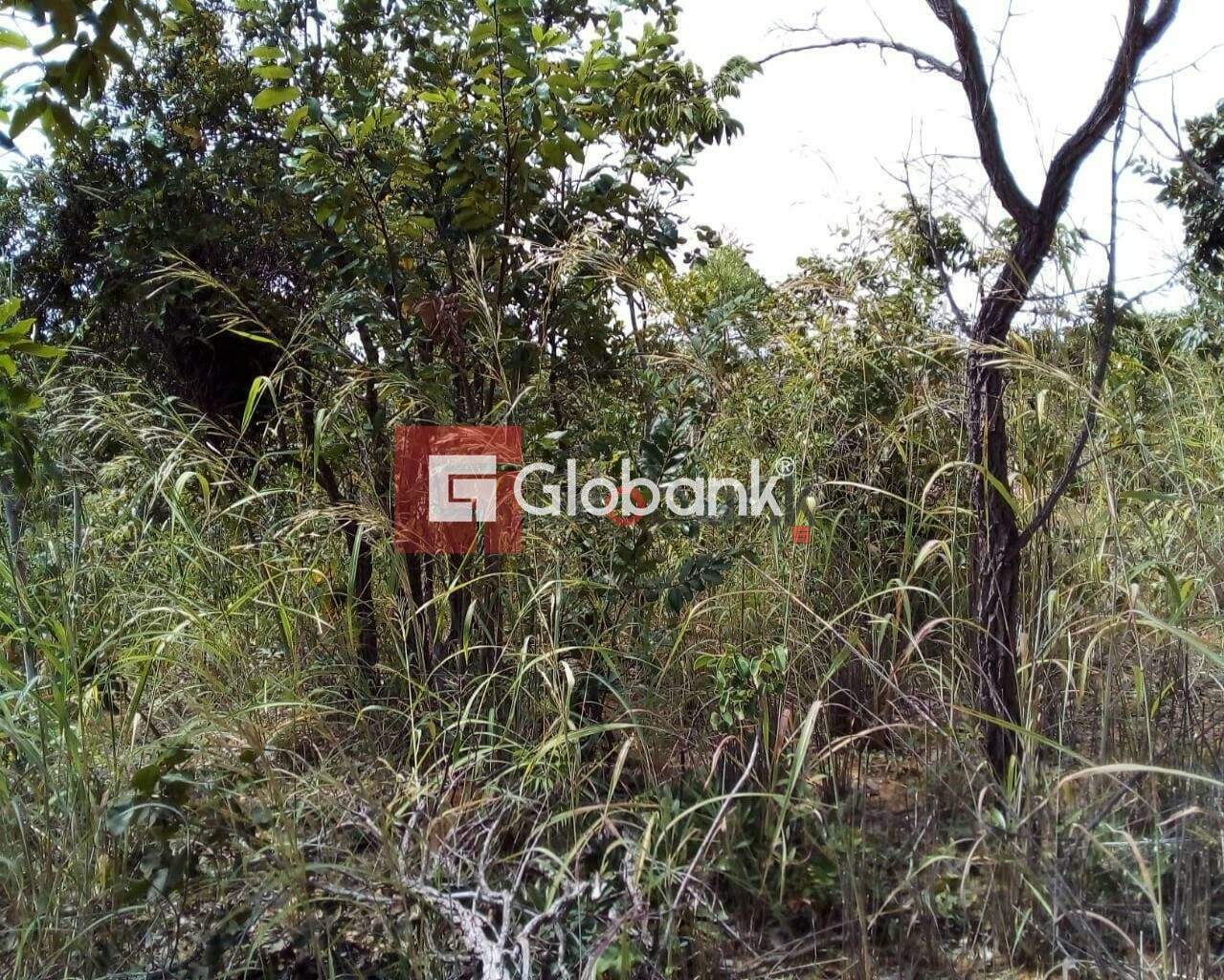 Fazenda 1 quarto à venda Área Rural de Montes Claros 0m² Montes Claros MG: Foto 10 | Foto_migracao | 10