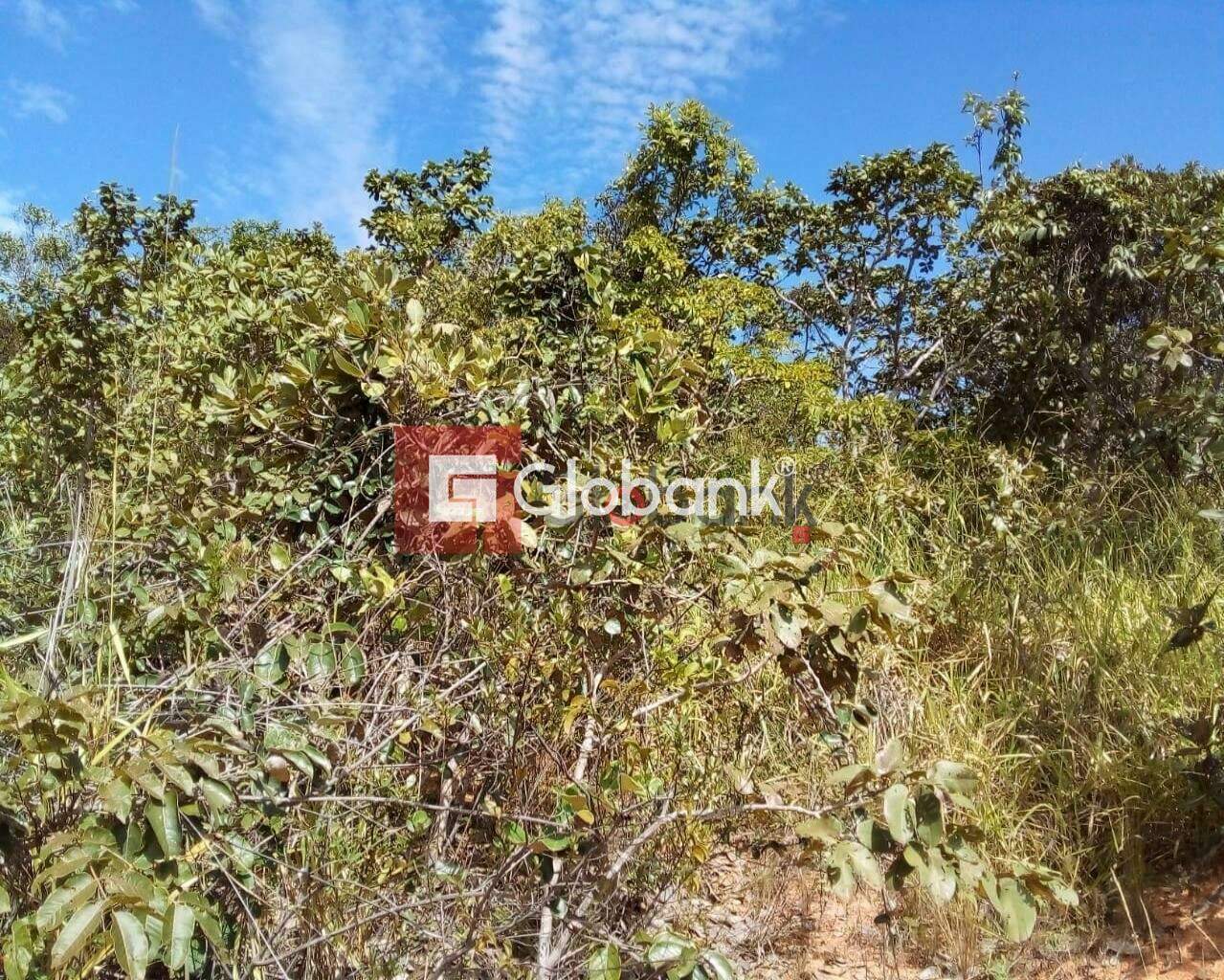 Fazenda 1 quarto à venda Área Rural de Montes Claros 0m² Montes Claros MG: Foto 03 | Foto_migracao | 3
