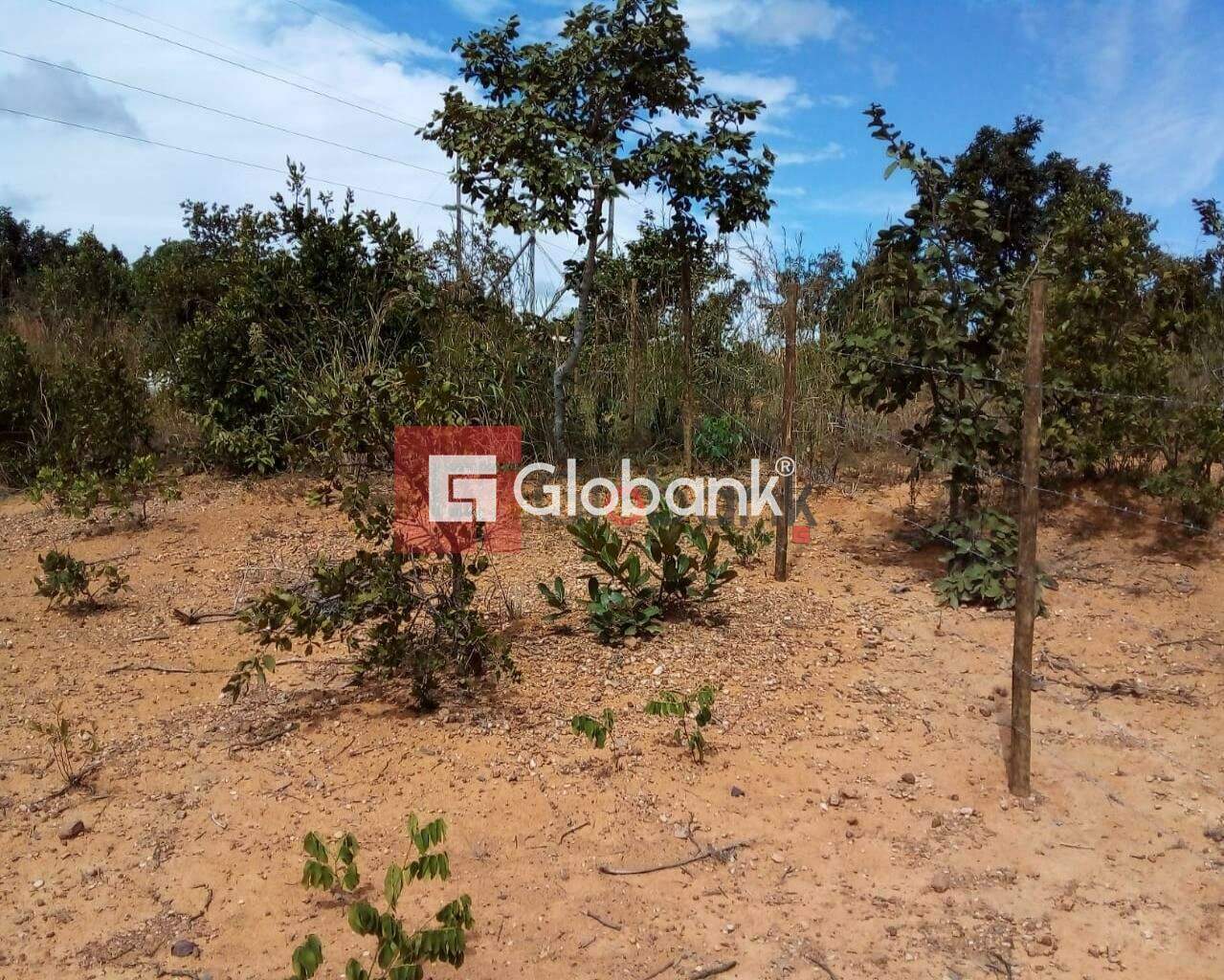 Fazenda 1 quarto à venda Área Rural de Montes Claros 0m² Montes Claros MG: Foto 08 | Foto_migracao | 8