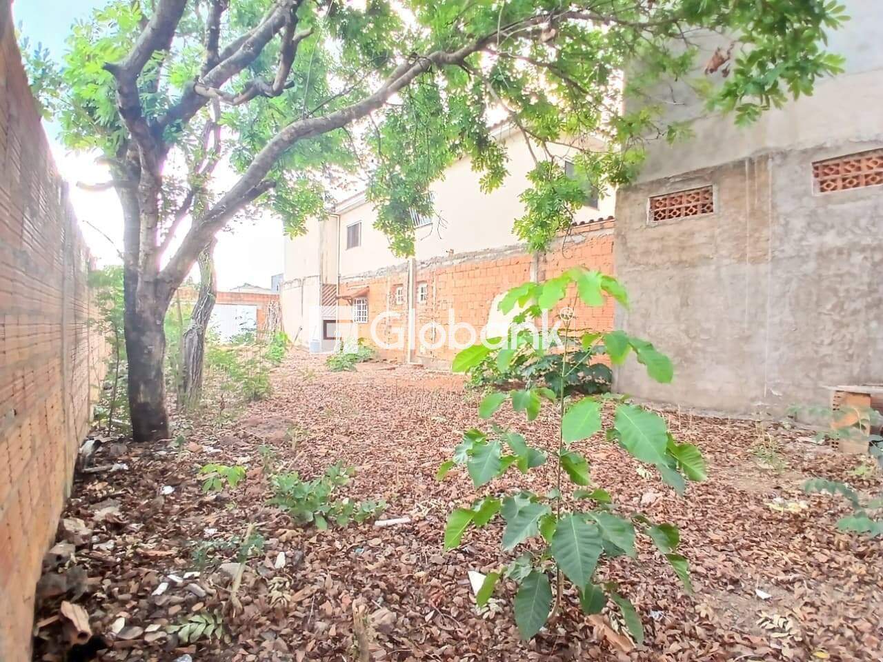 Terreno para aluguel Vila Exposição 195m² Montes Claros MG: 