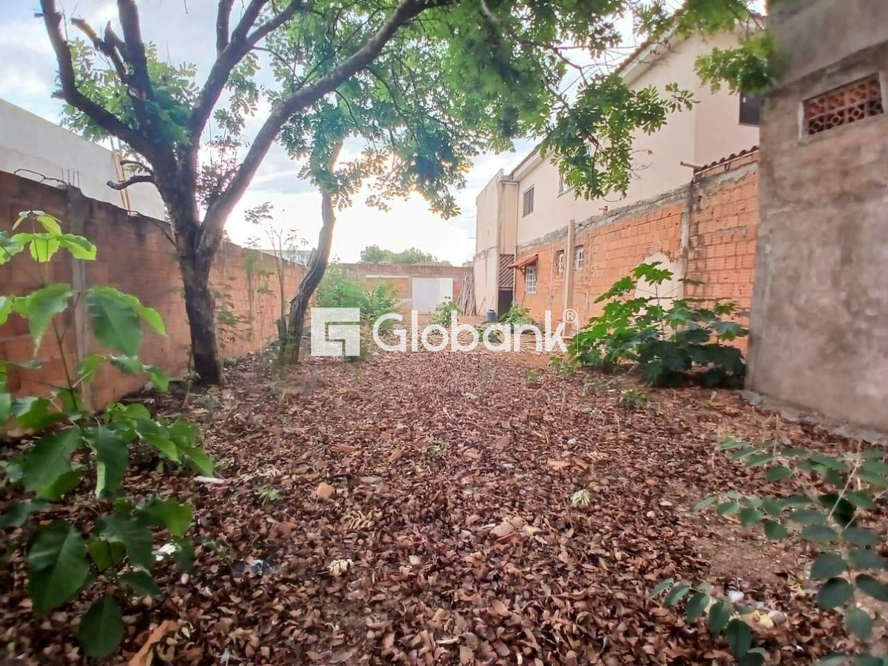 Terreno para aluguel Vila Exposição 195m² Montes Claros MG: 
