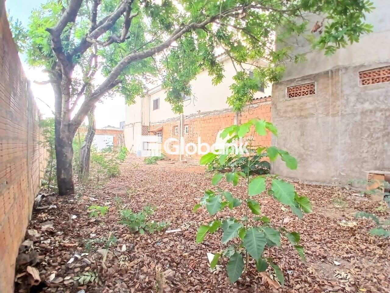 Terreno para aluguel Vila Exposição 0m² Montes Claros MG: 