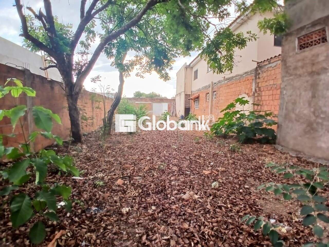 Terreno para aluguel Vila Exposição 0m² Montes Claros MG: 