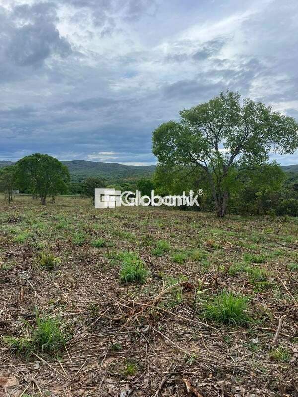 Chácara à venda Área Rural de Montes Claros 20.000m² Montes Claros MG: 