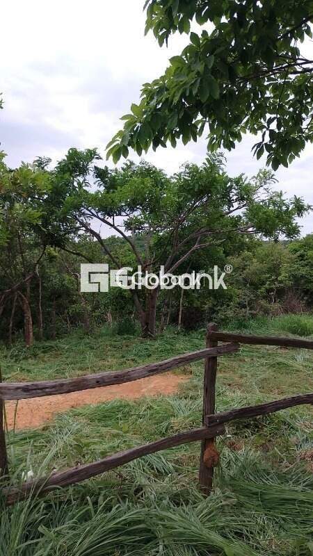 Sítio 3 quartos à venda Vila Nova 240.000m² Montes Claros MG: 