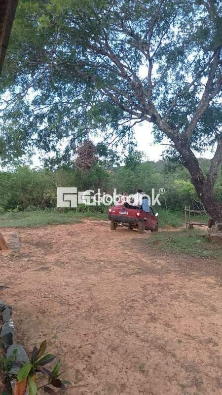 Sítio 3 quartos à venda Vila Nova 240.000m² Montes Claros MG: 