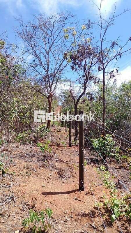 Sítio 3 quartos à venda Vila Nova 240.000m² Montes Claros MG: 