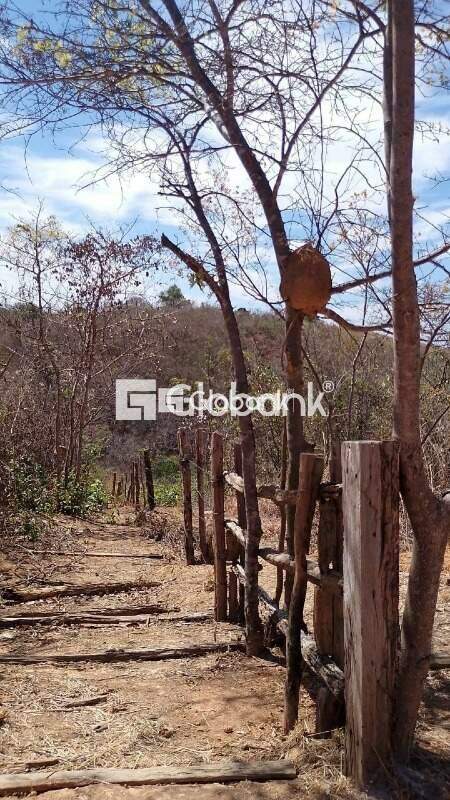 Sítio 3 quartos à venda Vila Nova 240.000m² Montes Claros MG: 