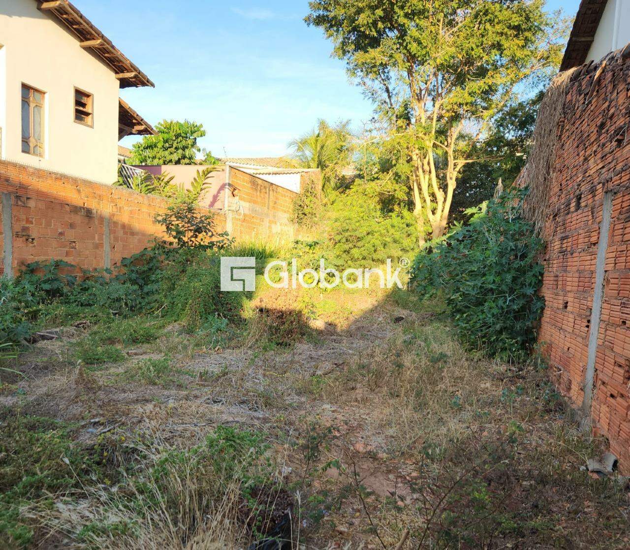 Terreno à venda Todos os Santos 300m² Montes Claros MG: 